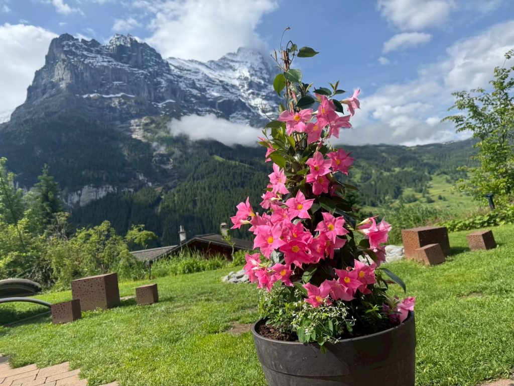 本当の私に会えた瞬間！魂の声を聴くセッション