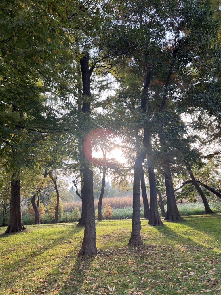 人生の転換期に出会う言葉の魔法 “神の言葉”
