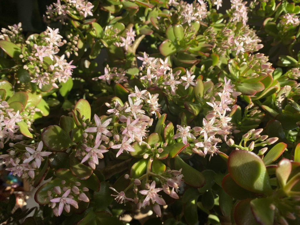 【実証済み】毎日このワークをしたら、たった1ヶ月で人生が激変しました