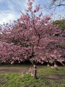 【揺るがない自分軸】不動明王のマントラで願望実現 言葉とエネルギーで現実を整える最強の方法