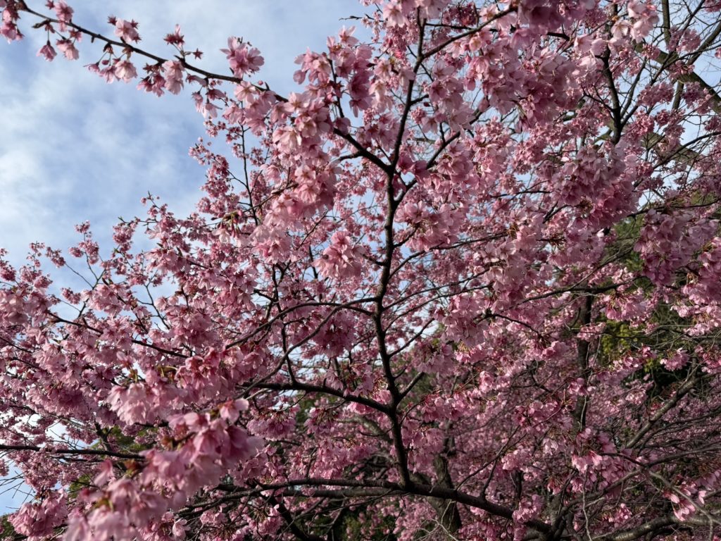 【潜在意識が覚醒】執着を手放して「もうどうでもいい」と思えた瞬間、願いが勝手に叶い始める理由 ── 引き寄せの本質は“やり切ったあとの静けさ”にある