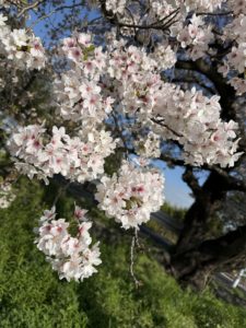 書いているのに、なぜ仕事につながらないのか？